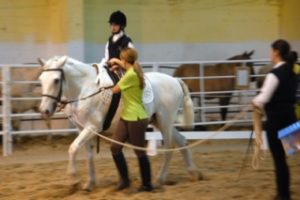 Imagem do post: A raça de cavalos Sorraia é utilizada em aulas de Equitação