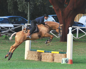 Imagem do post: Campeonato do mundo de equitação de trabalho 2011