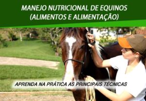 Imagem do post: Cavalo é muito mais que paixão. É conhecimento!