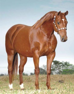 Imagem do post: Influenza equina