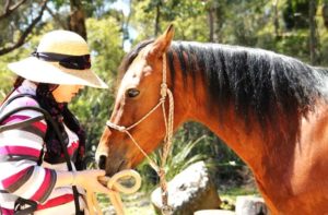 Imagem do post: Cavalos podem ajudar a combater a depressão