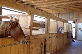 Imagem do post: Cavalos que permanecem em estábulos podem desenvolver distúrbios comportamentais