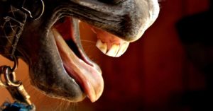 Imagem do post: Dente de lobo: O que é e como tratar?