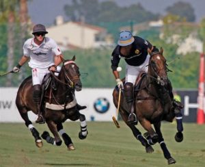 Imagem do post: História do esporte equestre