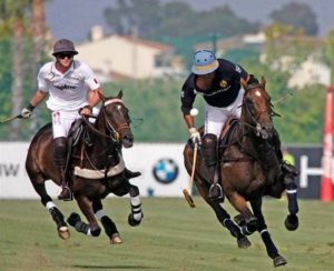 Imagem do post: Equitação de Trabalho- tipos de monta em diferentes aspectos do trabalho de campo