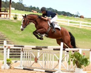 Imagem do post: Festival Nacional do Cavalo Brasileiro de Hipismo