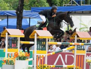 Imagem do post: Caracterização do hipismo