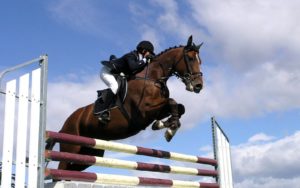 Imagem do post: Os campeões dos Campeonatos Nacionais da Juventude de Salto de Obstáculos