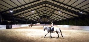 Imagem do post: Pista de treinamento para cavalos