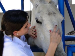 Imagem do post: Caracterização da influenza equina
