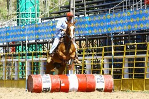 Imagem do post: Encerrado o 25º Campeonato de Quarto de Milha, no Rio de Janeiro