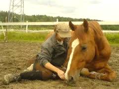 Imagem do post: Relação de amizade: Cavalo e Homem