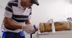 Imagem do post: Sêmen equino: o impacto do armazenamento na inseminação artificial