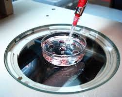Imagem do post: Técnica de coleta na transferência de embriões