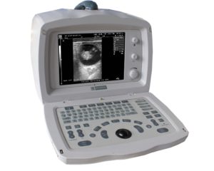 Imagem do post: Ultrassom Veterinário Mindray DP 2200 VET: 10 motivos para você comprar o seu