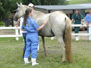 Imagem do post: Você já ouviu falar na Síndrome do Cavalo Roncador?