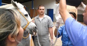Imagem do post: Fluidoterapia em equinos: como e quando fazer?