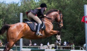 Imagem do post: Nutrição de cavalos atletas: entenda os principais pontos ligados à alimentação